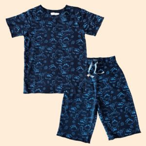 boys casual t shirt and pant set